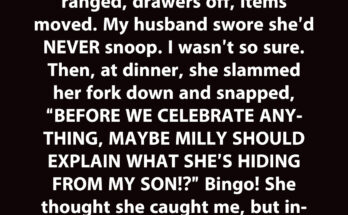 My Snooping MIL Thought She Was Exposing Me – but She Walked Right into the Trap I Set in My Closet